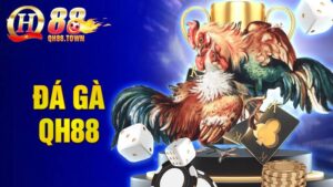 Đá gà QH88: Sảnh chơi đá gà Thomo rực cháy nhất hiện nay 8 Đá gà QH88